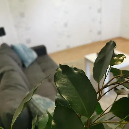 Schickling Apartment *