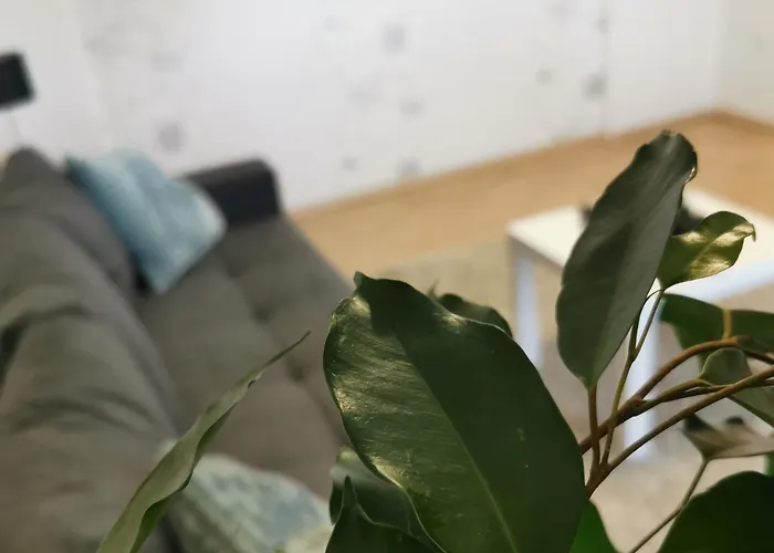 Schickling Apartament *